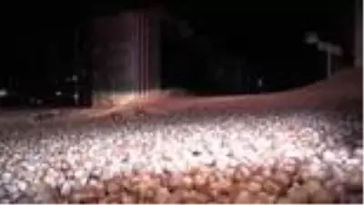 Tırın devrilmesi sonucu D-100 karayolu fındıkla kaplandı Tırın devrilmesi sonucu D-100 karayolu fındıkla kaplandı