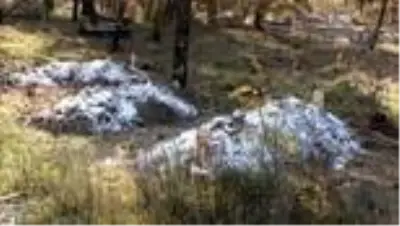 Son dakika haber... 3 ferdini koronavirüsten kaybeden aileden uyarı Son dakika haber... 3 ferdini koronavirüsten kaybeden aileden uyarı