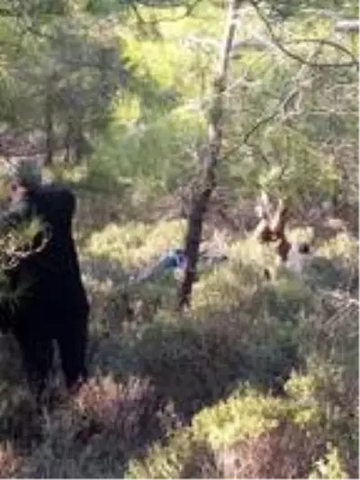 Çanakkale'de 4 gün önce kaybolan yaşlı adam ölü bulundu Çanakkale'de 4 gün önce kaybolan yaşlı adam ölü bulundu