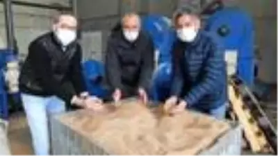 Çevre dostu zeytin çekirdeği, Yunanistan'a ihraç ediliyor Çevre dostu zeytin çekirdeği, Yunanistan'a ihraç ediliyor