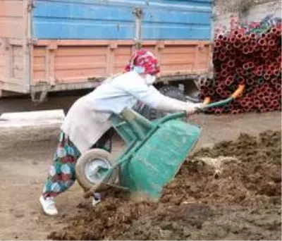 Engelli kadın hayal bile edemezken İŞKUR desteği ile kendi işinin patronu oldu Engelli kadın hayal bile edemezken İŞKUR desteği ile kendi işinin patronu oldu