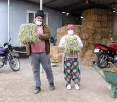 Engelli kadın hayal bile edemezken İŞKUR desteği ile kendi işinin patronu oldu Engelli kadın hayal bile edemezken İŞKUR desteği ile kendi işinin patronu oldu