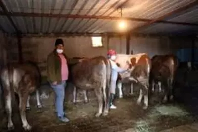 Engelli kadın hayal bile edemezken İŞKUR desteği ile kendi işinin patronu oldu Engelli kadın hayal bile edemezken İŞKUR desteği ile kendi işinin patronu oldu