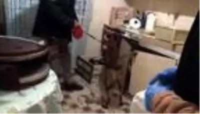 Evdeki uyuşturucuyu 'Aşil' buldu Evdeki uyuşturucuyu 'Aşil' buldu