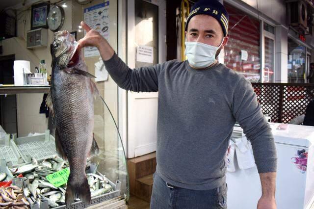 Karadeniz'de ağlara takılan 8 kilogramlık levrek 1.040 liradan satışa sunuldu