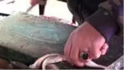 Karadenizli balıkçılar AA'nın 'Yılın Fotoğrafları' oylamasına katıldı Karadenizli balıkçılar AA'nın 'Yılın Fotoğrafları' oylamasına katıldı