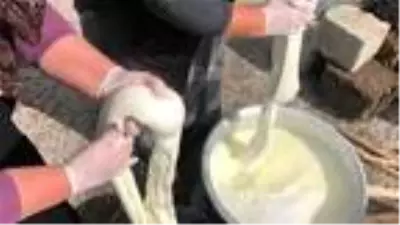 Kars'ta her mevsim kaşar ve tulum peyniri üretimi Kars'ta her mevsim kaşar ve tulum peyniri üretimi