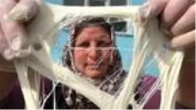 Kars'ta her mevsim kaşar ve tulum peyniri üretimi Kars'ta her mevsim kaşar ve tulum peyniri üretimi