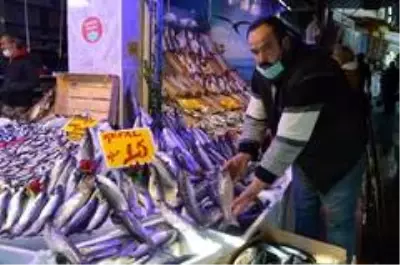 Kefal 15 lira ile tezgâhın en ucuz balığı oldu Kefal 15 lira ile tezgâhın en ucuz balığı oldu