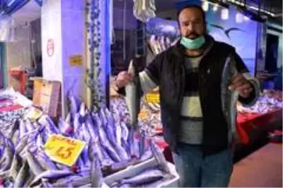 Kefal 15 lira ile tezgâhın en ucuz balığı oldu Kefal 15 lira ile tezgâhın en ucuz balığı oldu