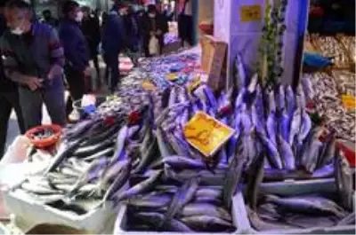 Kefal 15 lira ile tezgâhın en ucuz balığı oldu Kefal 15 lira ile tezgâhın en ucuz balığı oldu