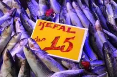 Kefal 15 lira ile tezgâhın en ucuz balığı oldu Kefal 15 lira ile tezgâhın en ucuz balığı oldu