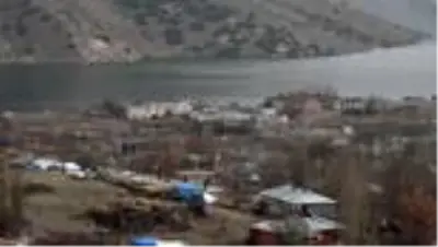 Kısmen boşaltılan köyde sahipsiz kalan köpeklere doğa koruma ekipleri sahip çıktı