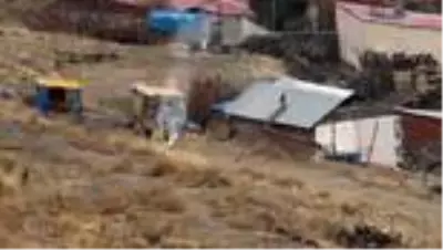 Kısmen boşaltılan köyde sahipsiz kalan köpeklere doğa koruma ekipleri sahip çıktı