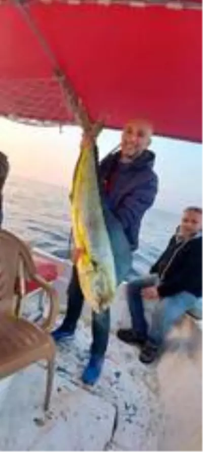 Kuşadası Körfezi'nde 15 kiloluk lambuka balığı yakalandı