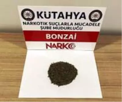 Kütahya'da iki şüphelinin üzerinde bonzai ele geçirildi Kütahya'da iki şüphelinin üzerinde bonzai ele geçirildi