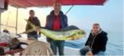 Okyanus balığı 15 kiloluk lambuka, Kuşadası'nda yakalandı