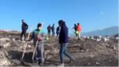 Polisler yanan ormanlara fidan dikti Polisler yanan ormanlara fidan dikti