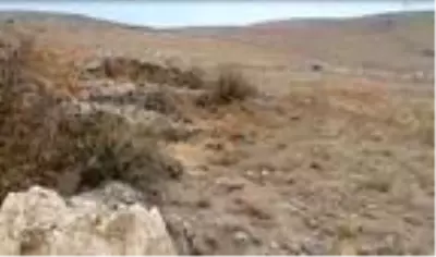 Sit alanında kaçak kazı yapanlara suçüstü Sit alanında kaçak kazı yapanlara suçüstü