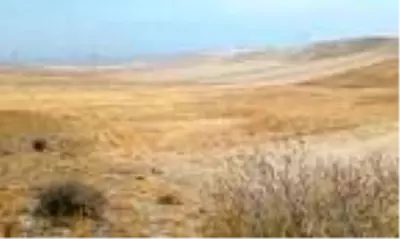 Sit alanında kaçak kazı yapanlara suçüstü Sit alanında kaçak kazı yapanlara suçüstü