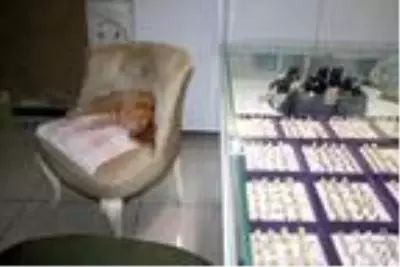 Soğuk havada iş yerine giren kedi, koltukta uyudu