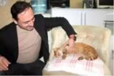 Soğuk havada iş yerine giren kedi, koltukta uyudu