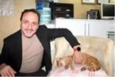 Soğuk havada iş yerine giren kedi, koltukta uyudu
