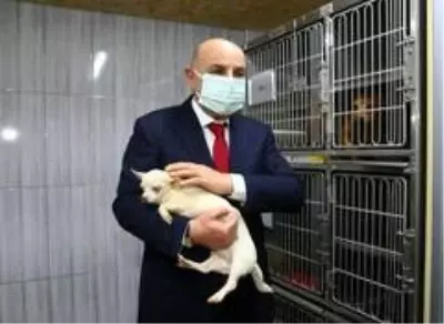 Uygunsuz şartlarda yetiştirilen 68 köpeğe Keçiören Belediyesi sahip çıktı Uygunsuz şartlarda yetiştirilen 68 köpeğe Keçiören Belediyesi sahip çıktı