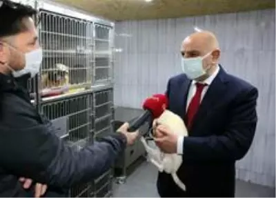 Uygunsuz şartlarda yetiştirilen 68 köpeğe Keçiören Belediyesi sahip çıktı Uygunsuz şartlarda yetiştirilen 68 köpeğe Keçiören Belediyesi sahip çıktı