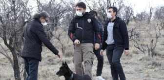 Ankara'da dağlık arazide kesik insana ait kafatası bulundu