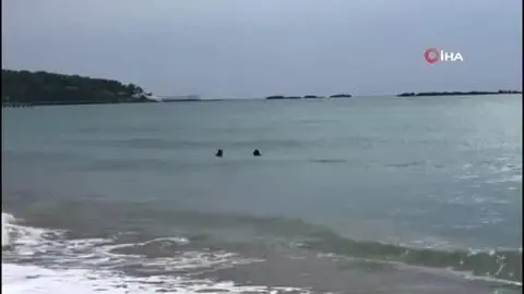 Define avcıları sualtına dalış yaparak, turistlerin düşürdüğü altınları arıyor