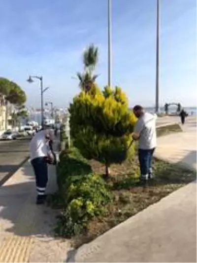 Didim'de yeşil alan çalışmaları sürüyor Didim'de yeşil alan çalışmaları sürüyor