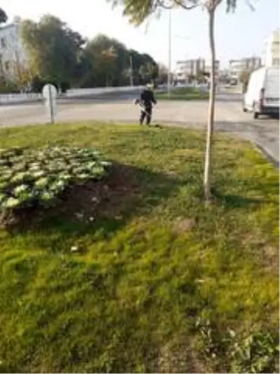Didim'de yeşil alan çalışmaları sürüyor Didim'de yeşil alan çalışmaları sürüyor