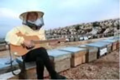 Dünya turuna çıkan Alman, arı kovanı üzerine gitar çaldı Dünya turuna çıkan Alman, arı kovanı üzerine gitar çaldı