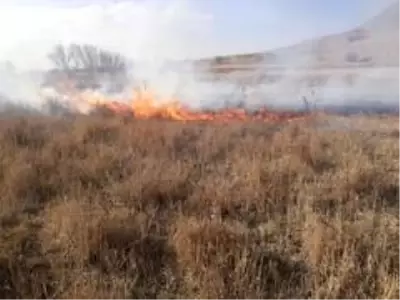 Gürpınar'da kuruyan otlar alev alev yandı Gürpınar'da kuruyan otlar alev alev yandı