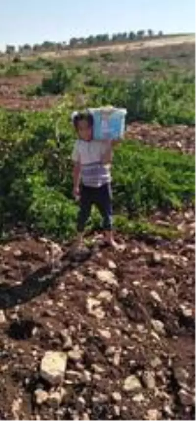 Son dakika haber... Jandarmanın elinden karga tulumba kaçırılan küçük kız 44 gündür bulunamadı