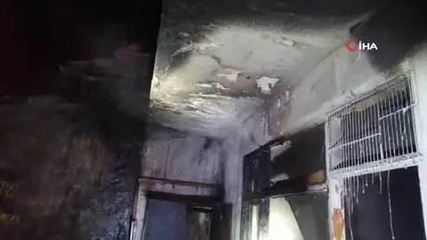 Komşusu balkonda mangal yaktı, 5 muhabbet kuşu telef oldu Komşusu balkonda mangal yaktı, 5 muhabbet kuşu telef oldu