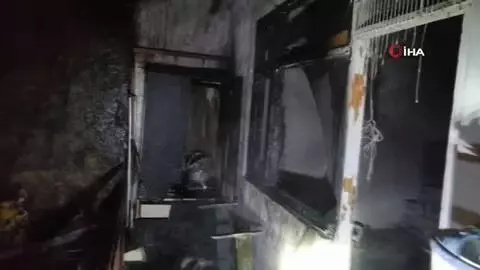 Komşusu balkonda mangal yaktı, 5 muhabbet kuşu telef oldu Komşusu balkonda mangal yaktı, 5 muhabbet kuşu telef oldu