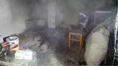 Komşusu balkonda mangal yaktı, 5 muhabbet kuşu telef oldu Komşusu balkonda mangal yaktı, 5 muhabbet kuşu telef oldu