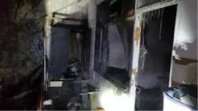 Komşusu balkonda mangal yaktı, 5 muhabbet kuşu telef oldu Komşusu balkonda mangal yaktı, 5 muhabbet kuşu telef oldu