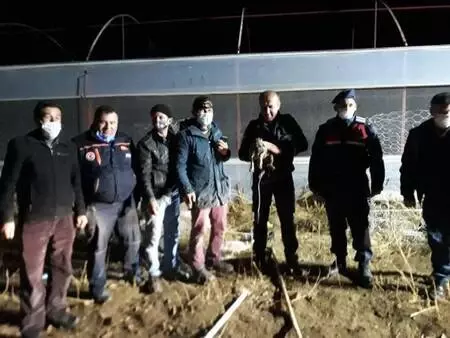 Burdur'da sondaj kuyusuna düşen yavru köpek kurtarıldı Burdur'da sondaj kuyusuna düşen yavru köpek kurtarıldı