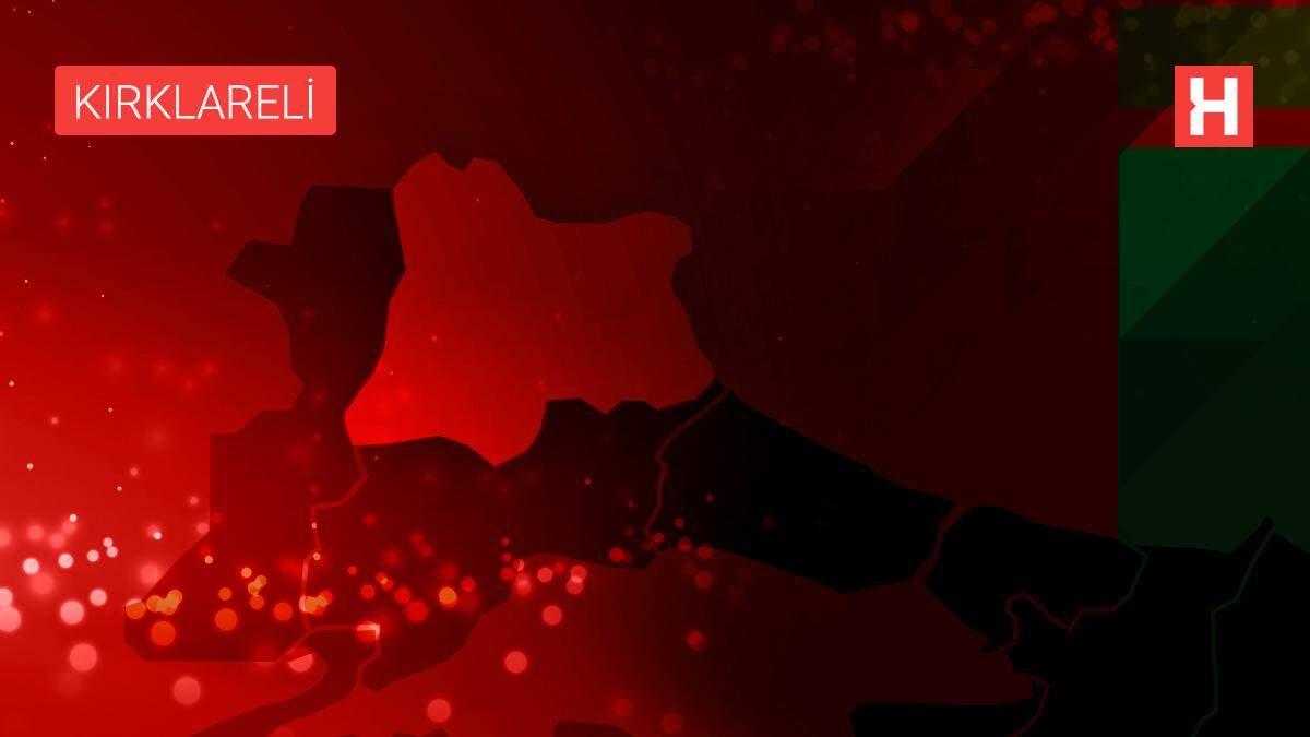 Terör propagandası suçundan aranan zanlı Kırklareli'nde yakalandı