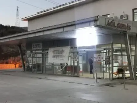 Tunceli'de yaban domuzunun saldırdığı köylü yaralandı