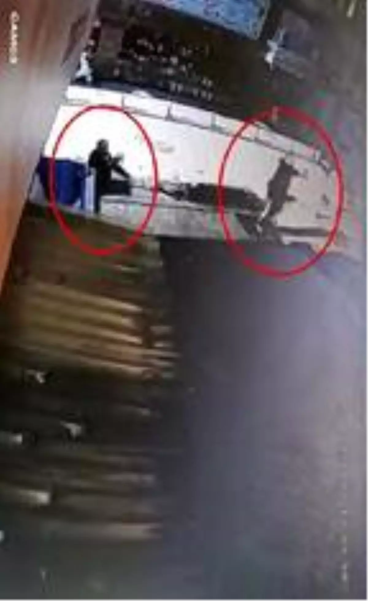 Son dakika... Yalova'daki silahlı çatışma kamerada