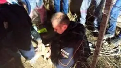 Burdur'da sondaj kuyusuna düşen yavru köpek kurtarıldı Burdur'da sondaj kuyusuna düşen yavru köpek kurtarıldı