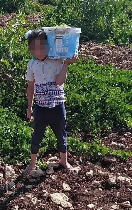 Küçük kızı annesinden koparıp aldıkları yetmedi bir de tehdit ettiler: Çocuktan vazgeç yoksa açlıktan ölür Küçük kızı annesinden koparıp aldıkları yetmedi bir de tehdit ettiler: Çocuktan vazgeç yoksa açlıktan ölür