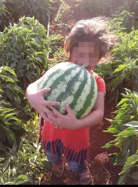Küçük kızı annesinden koparıp aldıkları yetmedi bir de tehdit ettiler: Çocuktan vazgeç yoksa açlıktan ölür Küçük kızı annesinden koparıp aldıkları yetmedi bir de tehdit ettiler: Çocuktan vazgeç yoksa açlıktan ölür