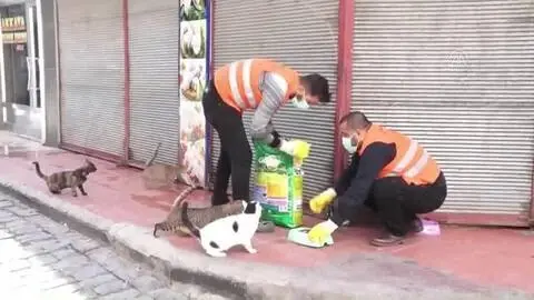 Sokağa çıkma kısıtlamasında sokak hayvanları unutulmadı Sokağa çıkma kısıtlamasında sokak hayvanları unutulmadı
