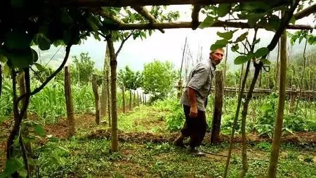 İnci gibi dizdiği odunları gözü gibi koruyor İnci gibi dizdiği odunları gözü gibi koruyor