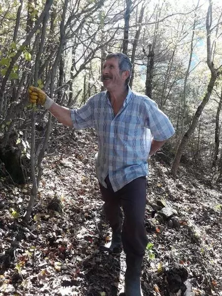 İnci gibi dizdiği odunları gözü gibi koruyor İnci gibi dizdiği odunları gözü gibi koruyor